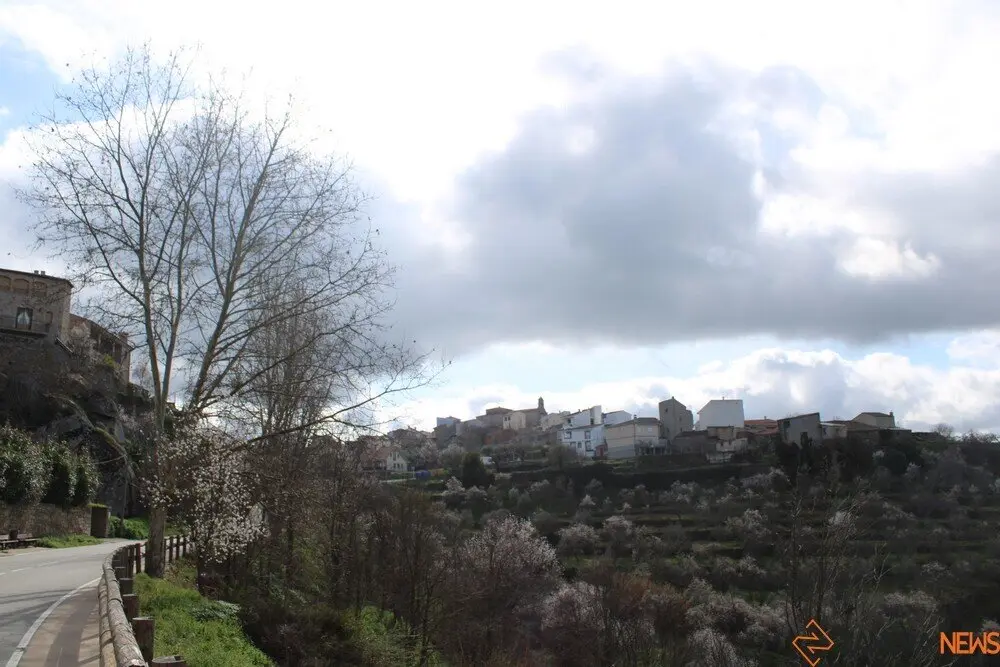 fermoselle almendros en flor _27