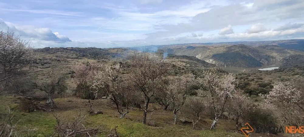 fermoselle almendros en flor _35