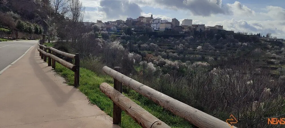 fermoselle almendros en flor _38