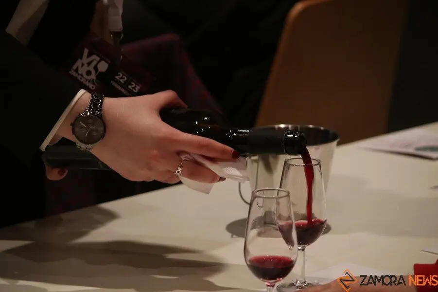 catas de vino _13