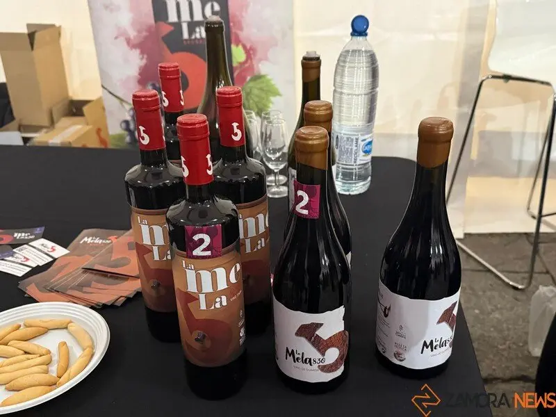 Salón del Vino Zamorano_12