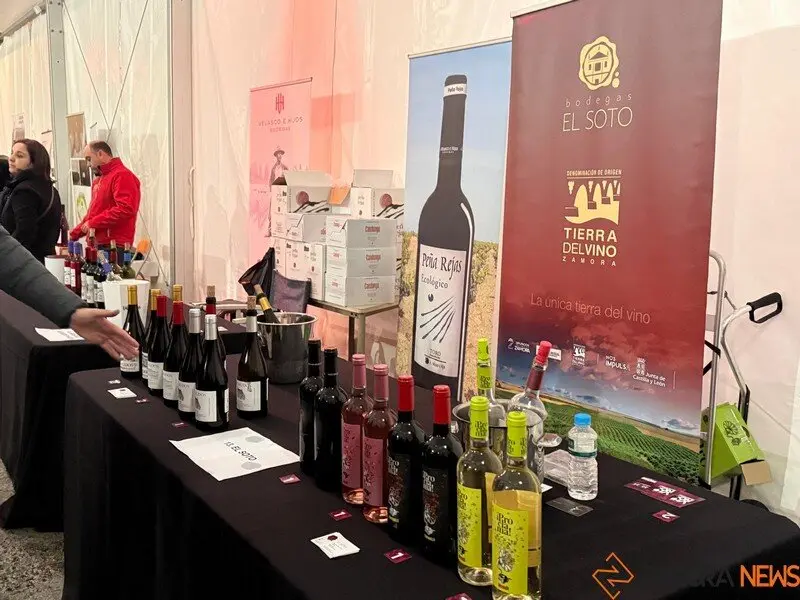 Salón del Vino Zamorano_16