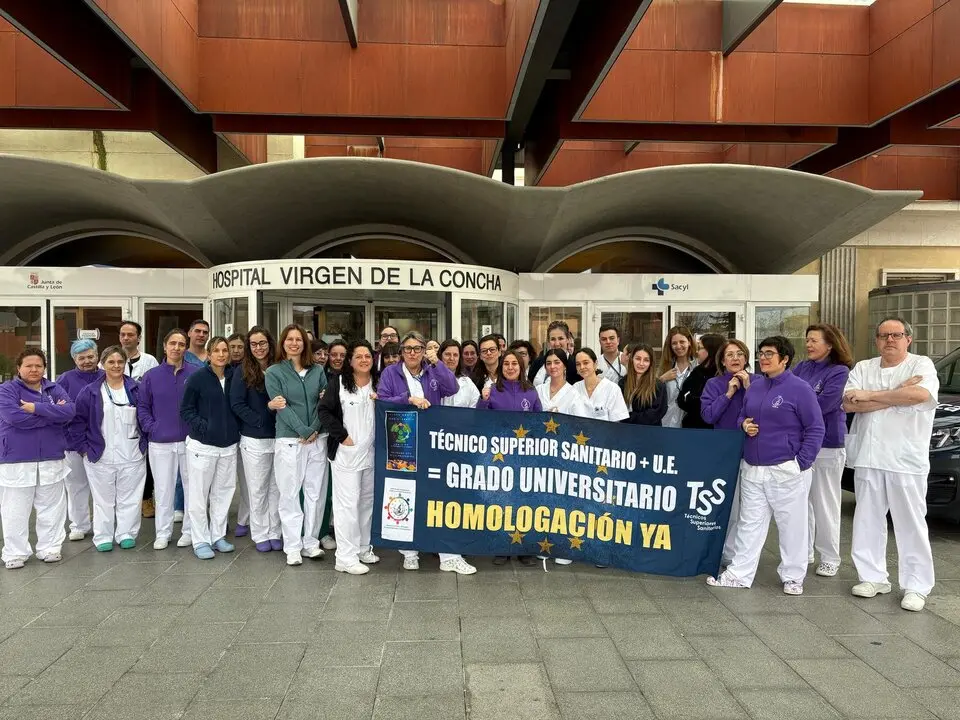 Manifestacion TSS Zamora