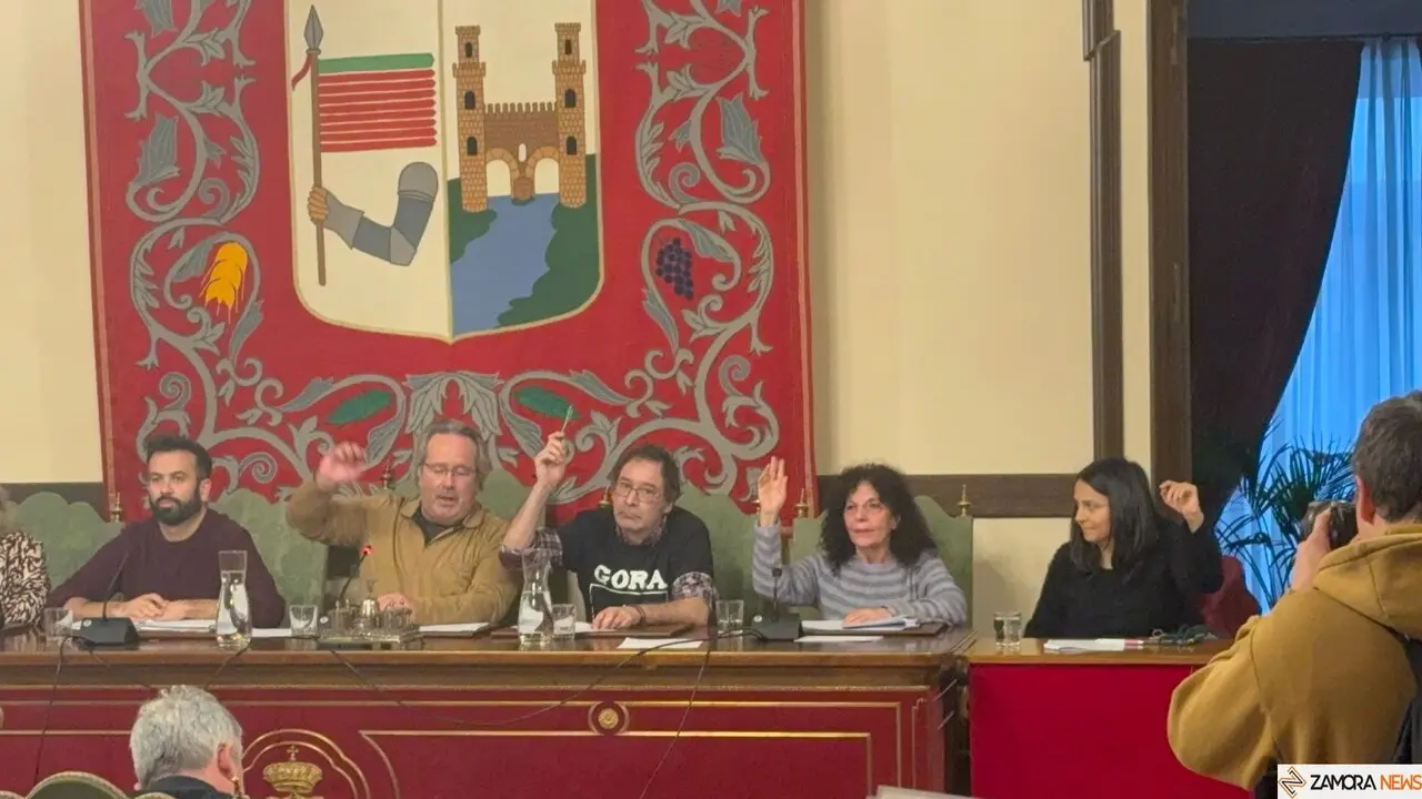 Pleno Ayuntamiento