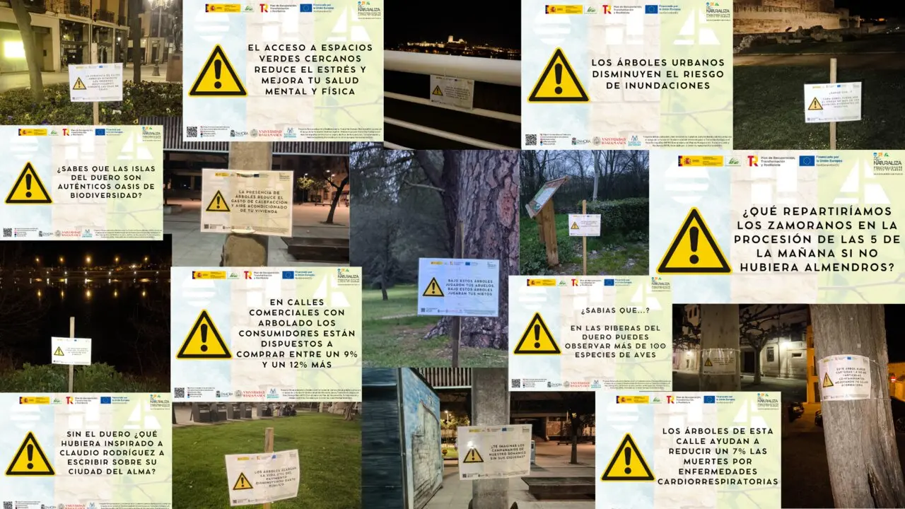 Collage carteles
