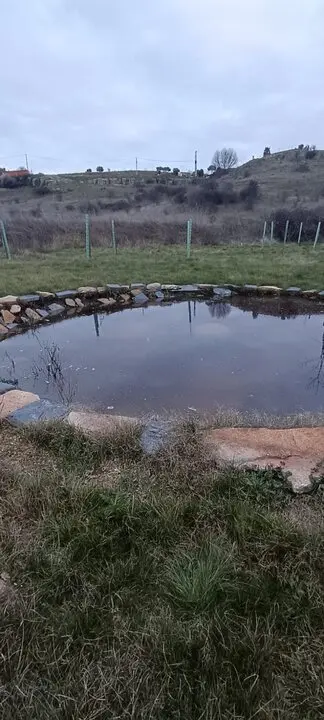 Las charcas de la Hiniesta se llenan de agua