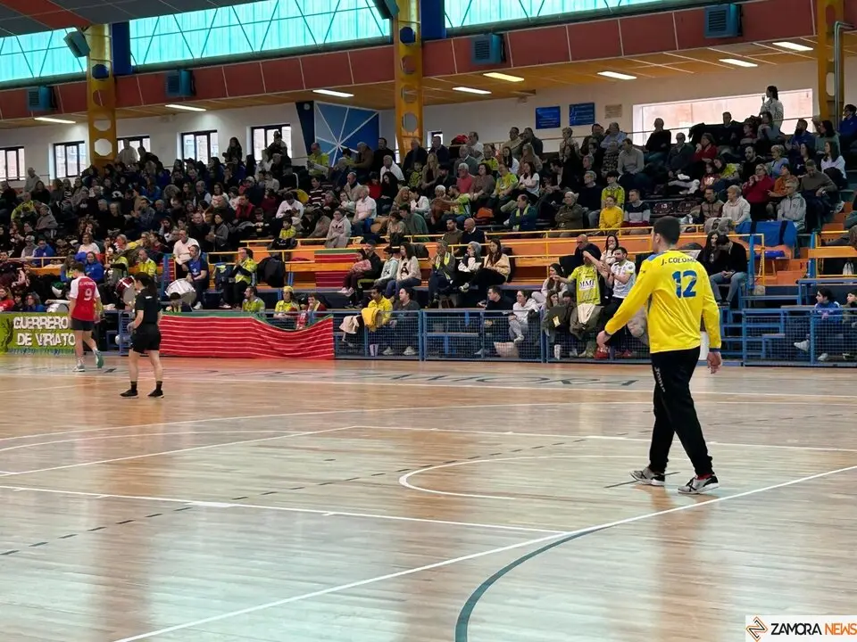 BM Zamora vs Covadonga