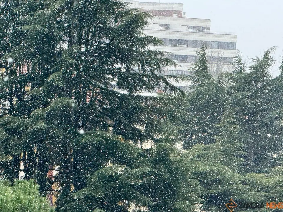 Nieve en Zamora. imagen de archivo