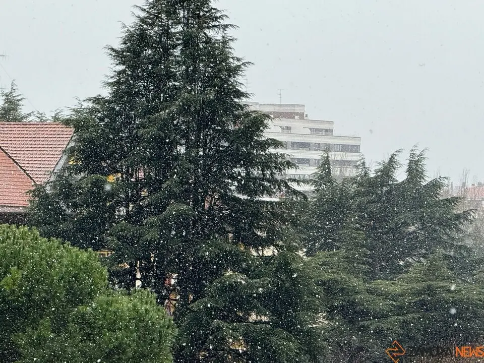 Nieve en Zamora_7