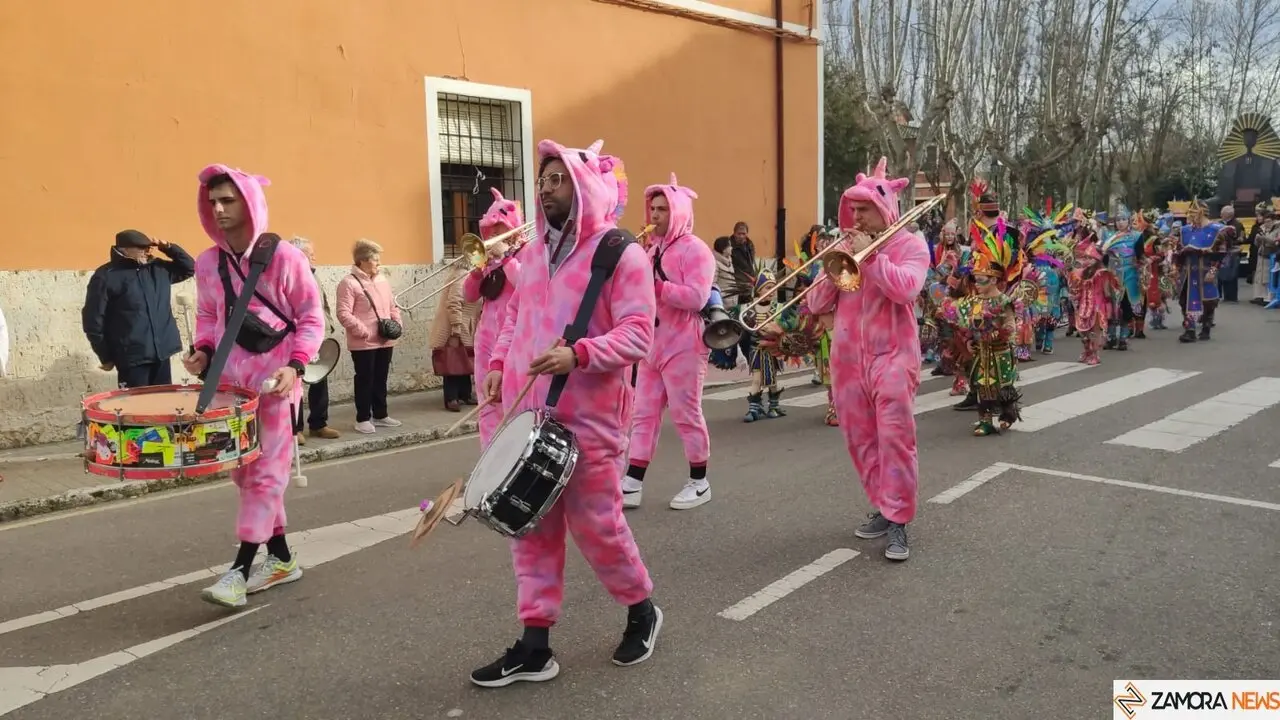 Desfile infantil de Carnaval, Toro