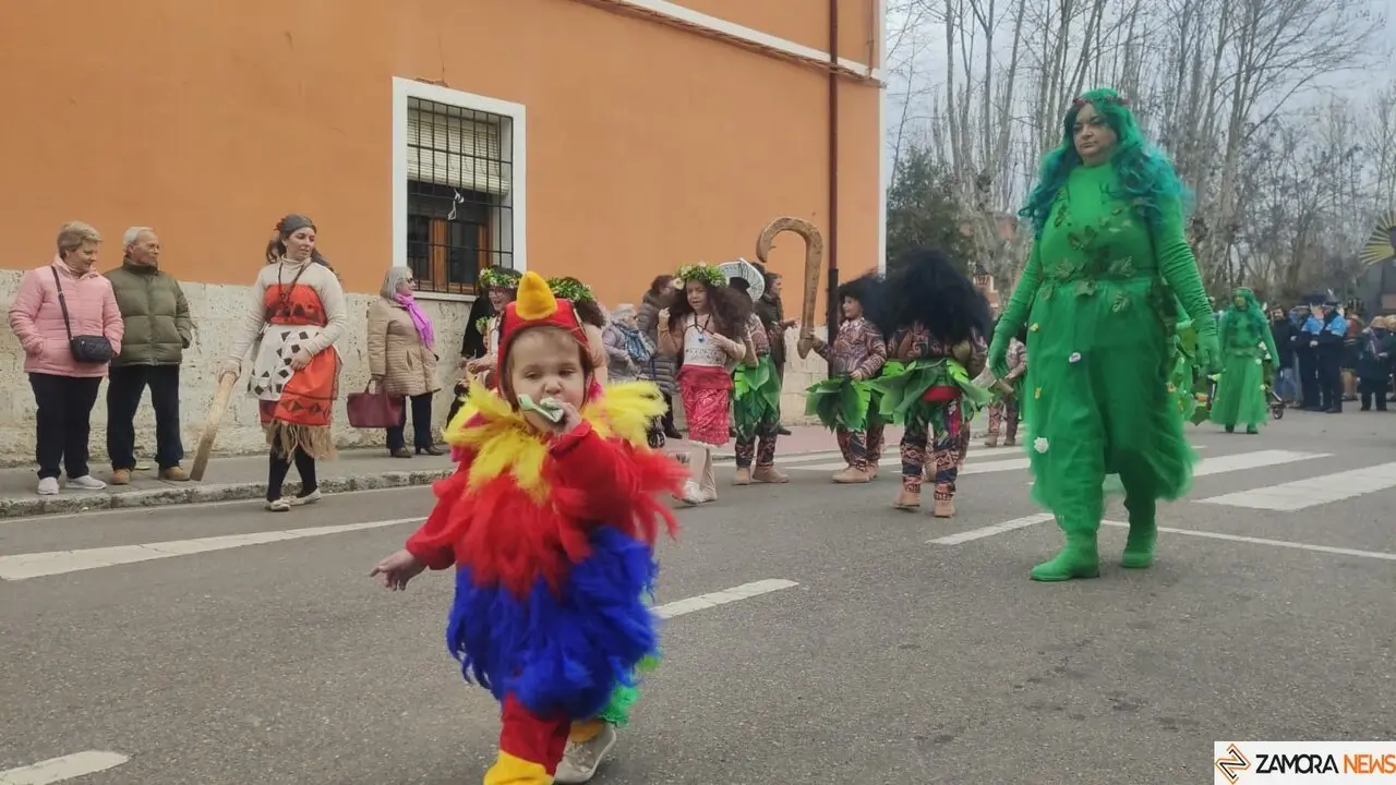 Desfile infantil de Carnaval, Toro