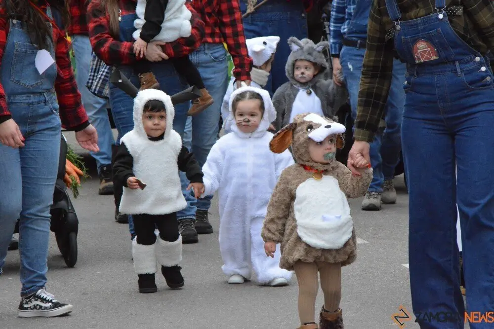 carnaval toro 2025_122