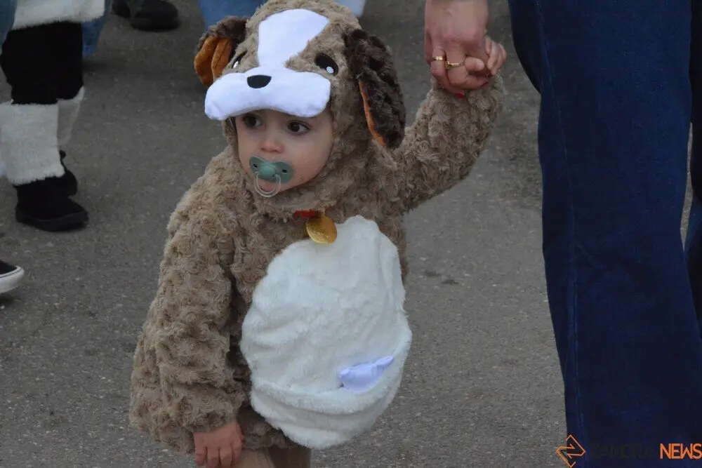 carnaval toro 2025_128