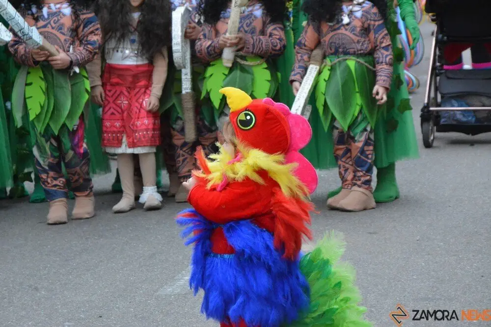 carnaval toro 2025_199