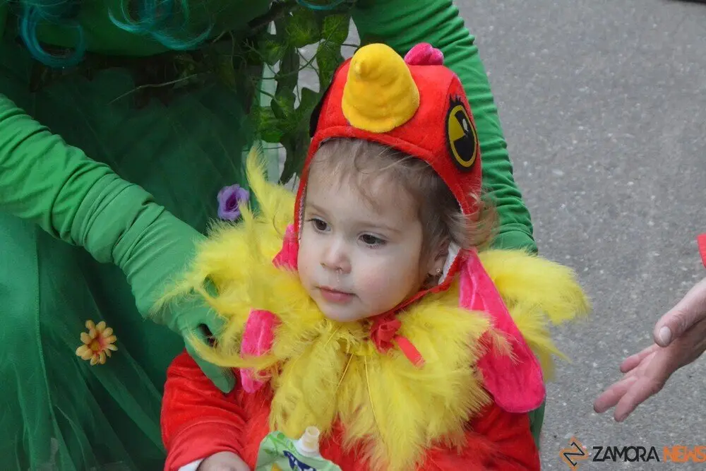 carnaval toro 2025_201