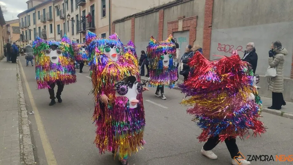 Carnaval Toro_11