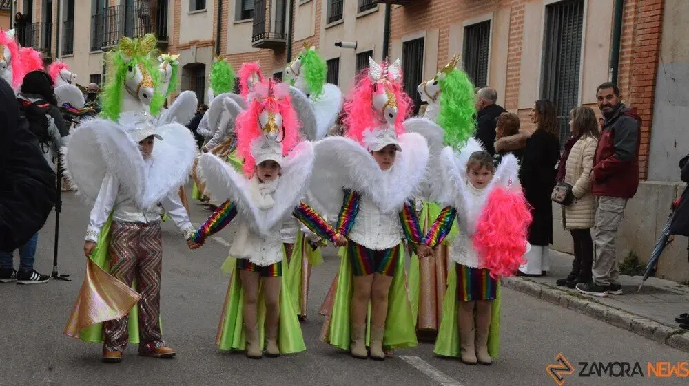 carnaval toro 2025_3