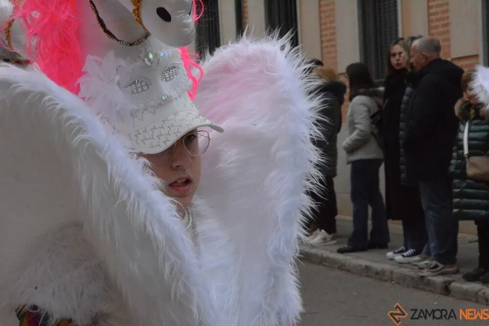 carnaval toro 2025_8