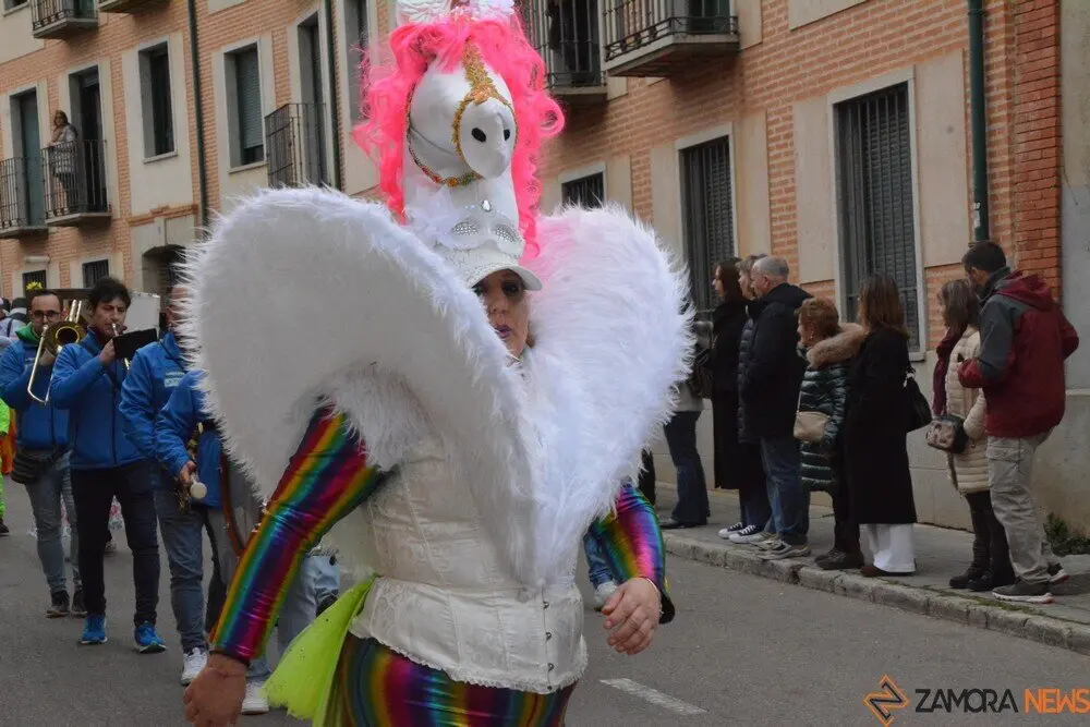 carnaval toro 2025_9