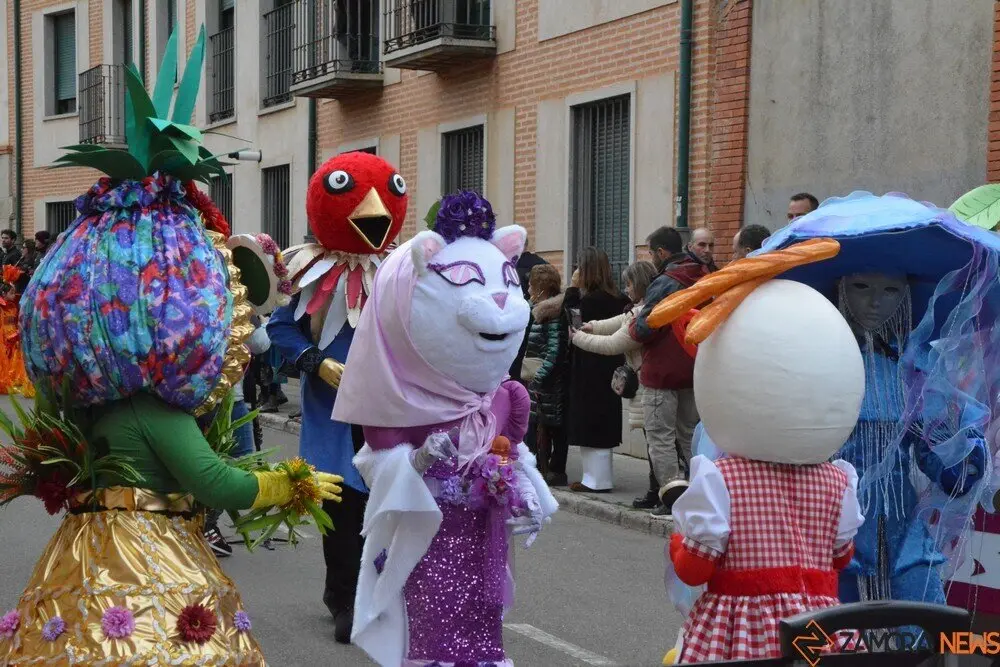 carnaval toro 2025_35