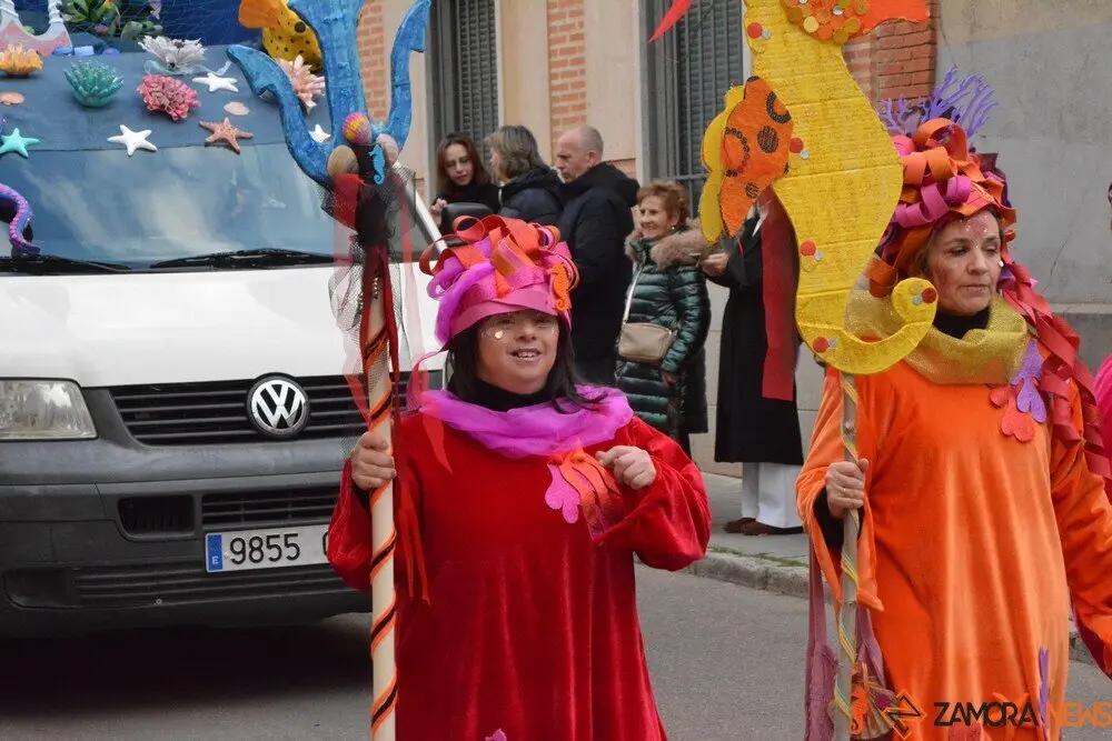 carnaval toro 2025_80