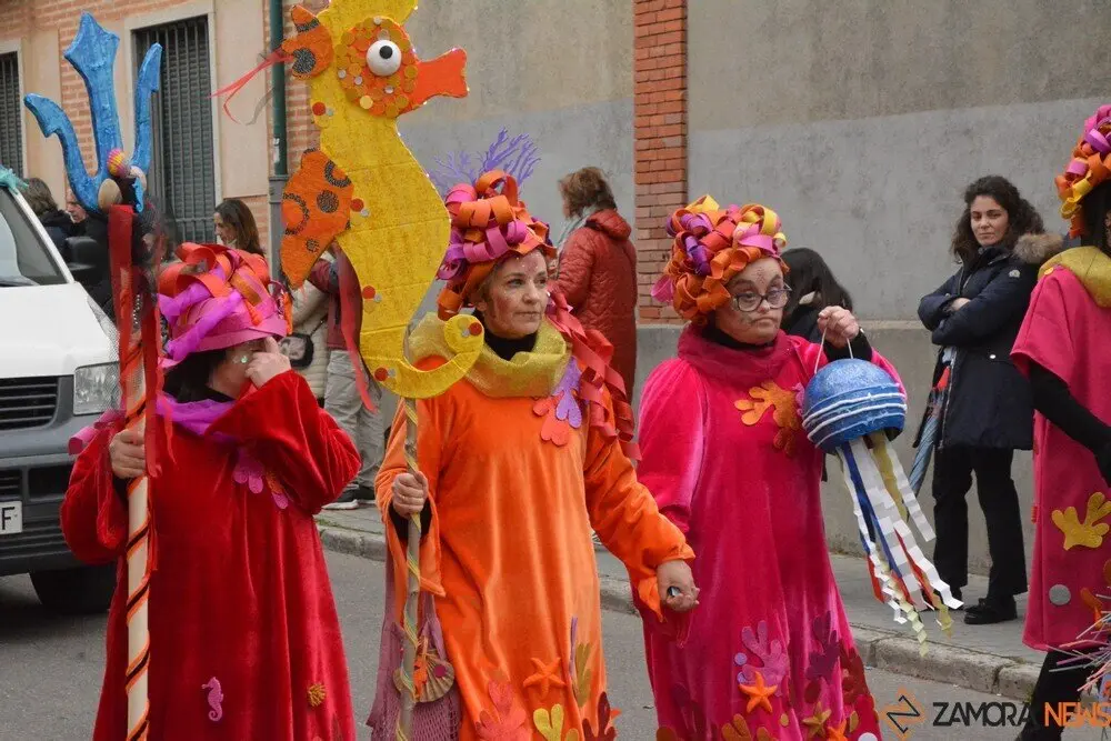 carnaval toro 2025_81