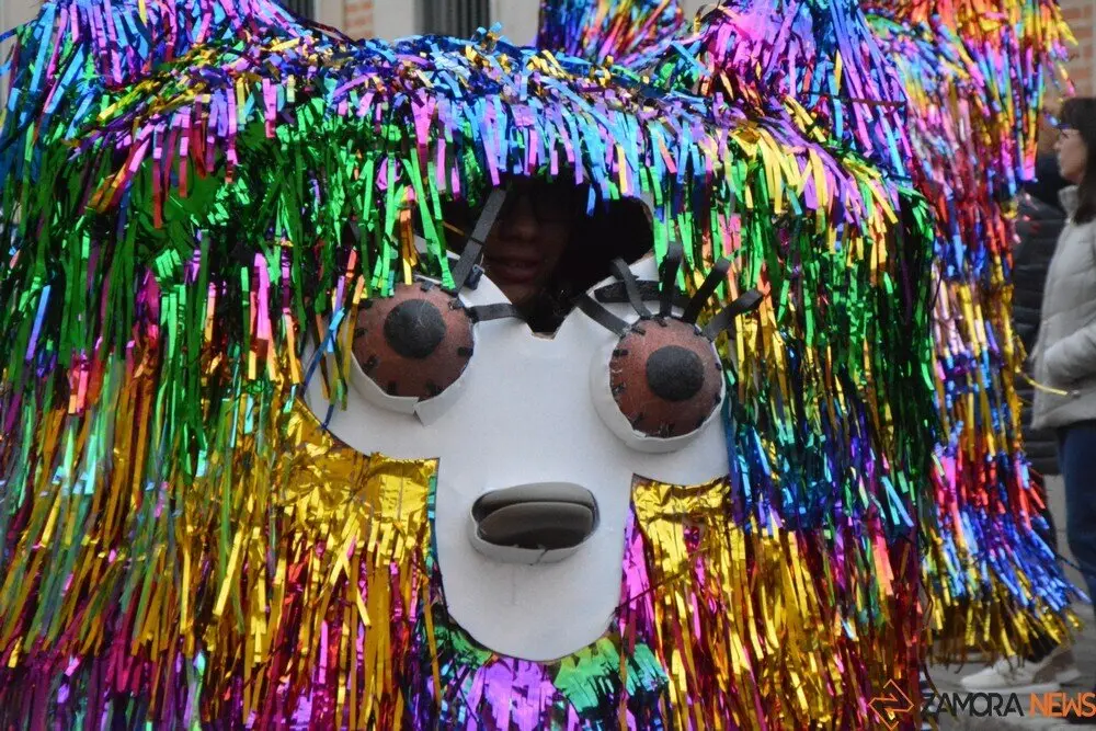 carnaval toro 2025_89