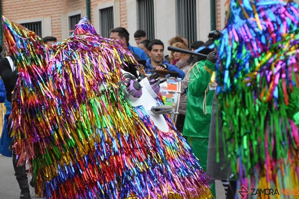 carnaval toro 2025_91