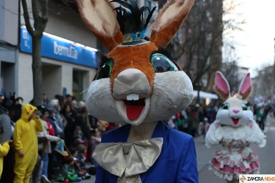 carnaval de zamora