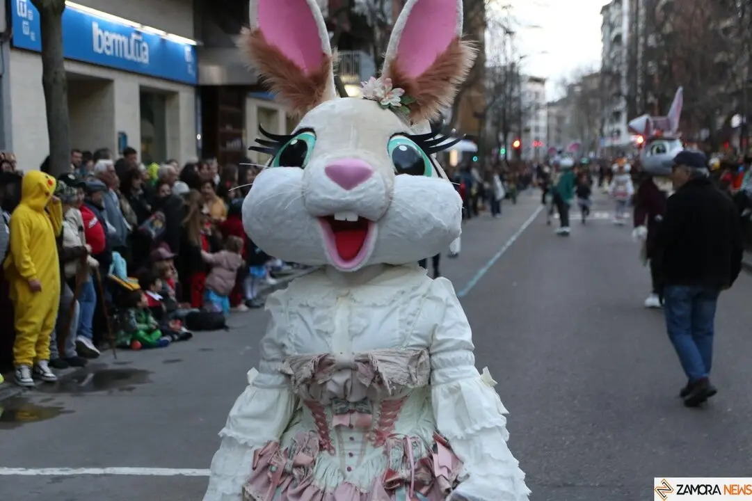 carnaval de zamora