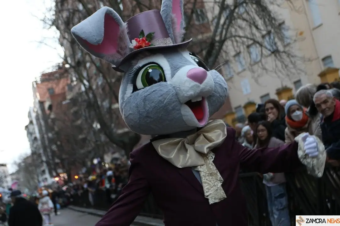 carnaval de zamora