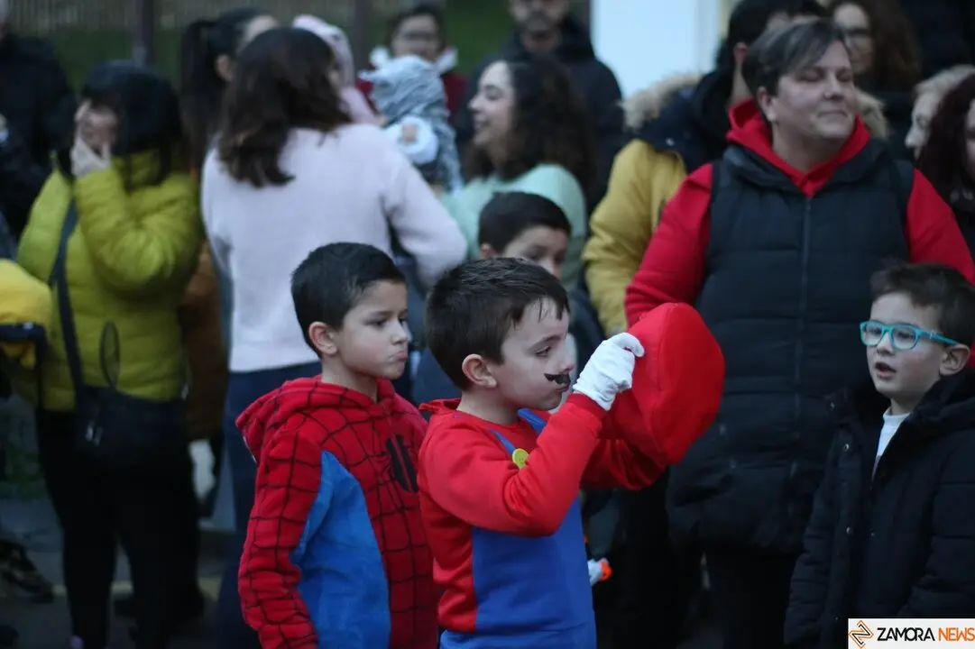 carnaval de zamora