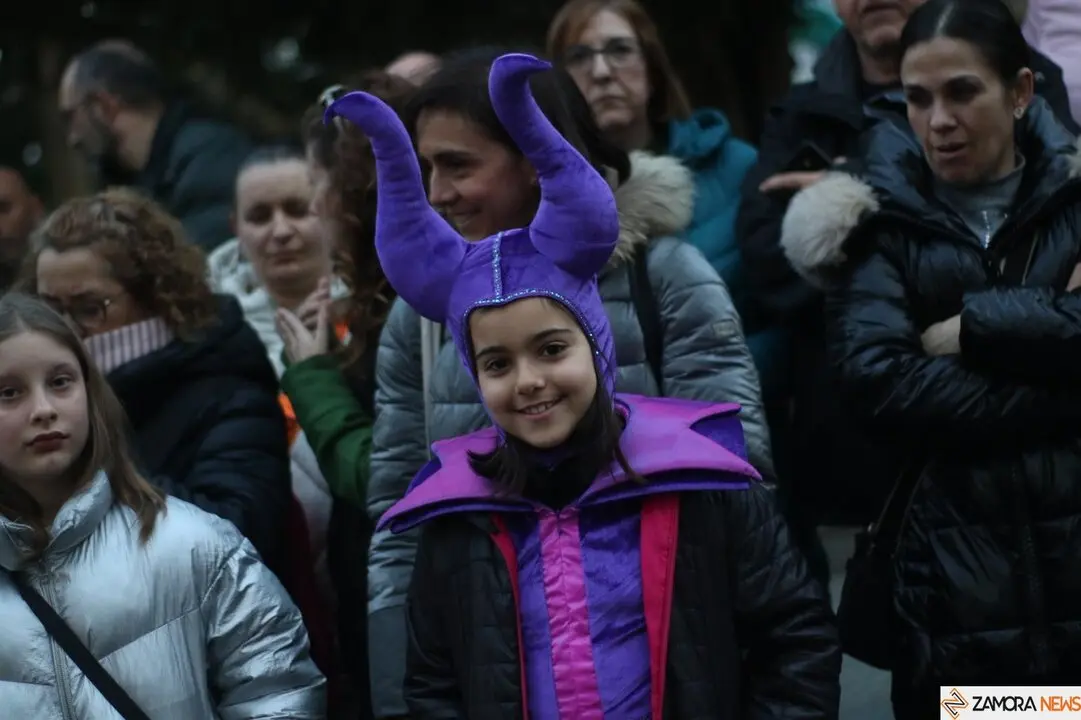 carnaval de zamora