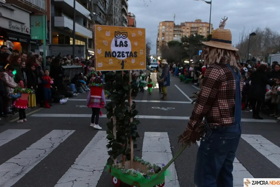 carnaval de zamora