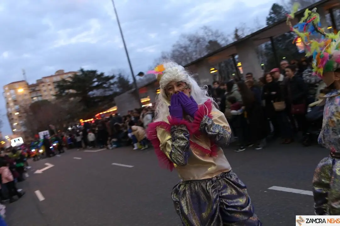 carnaval de zamora
