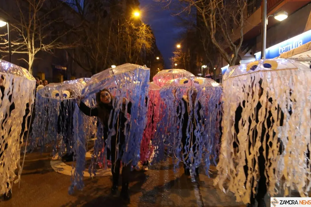 carnaval de zamora