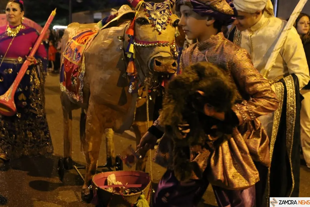 carnaval de zamora