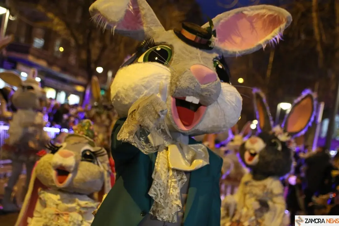 carnaval de zamora