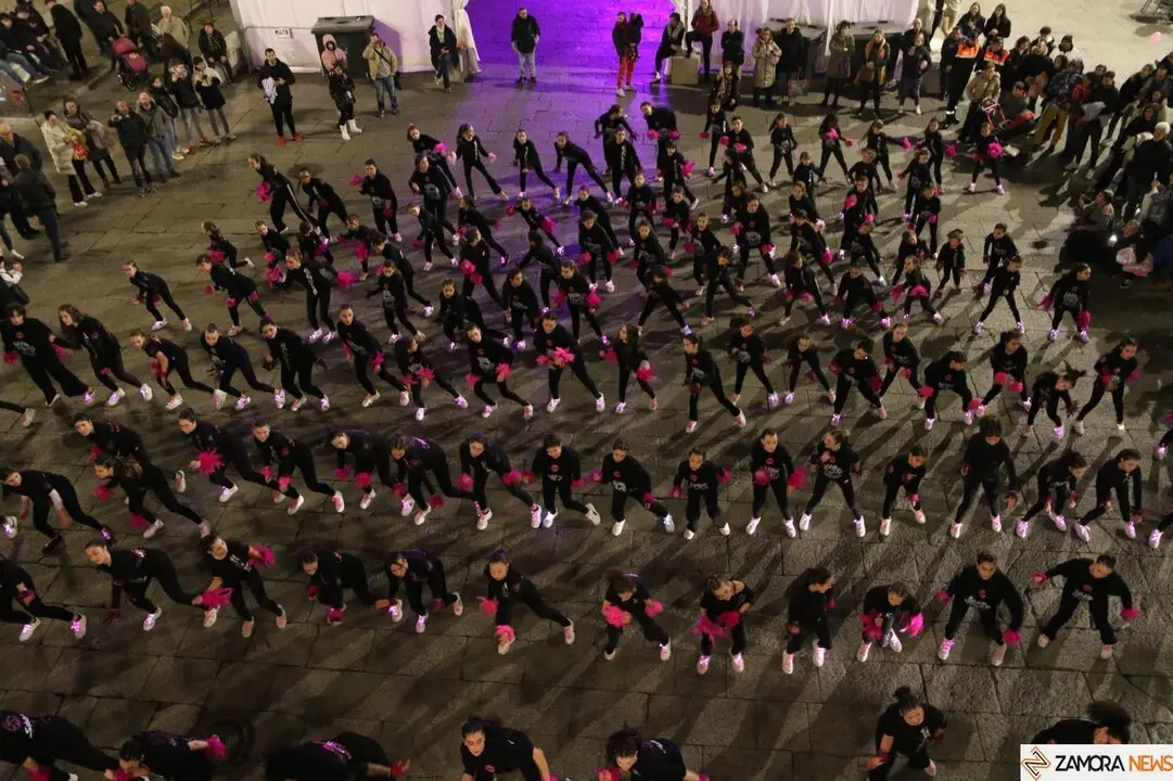 carnaval de zamora