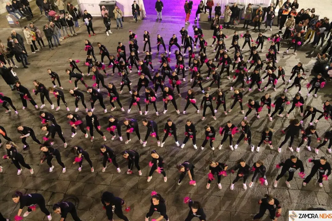carnaval de zamora