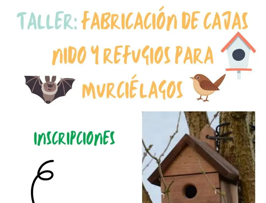 Taller Renaturaliza Murcielagos