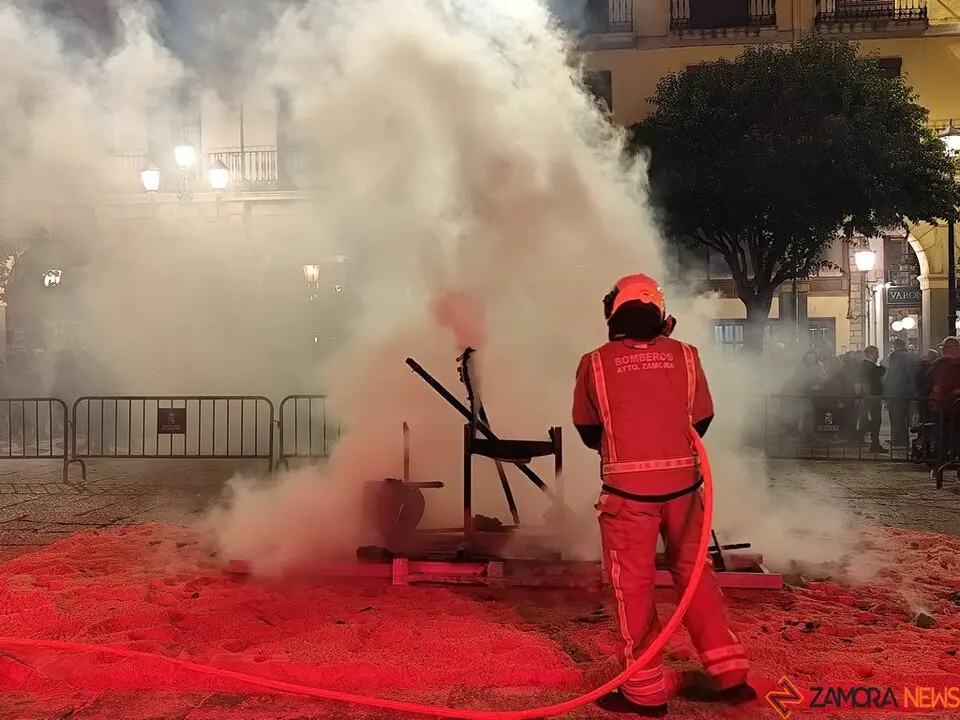 Entierro Sardina 2025_8