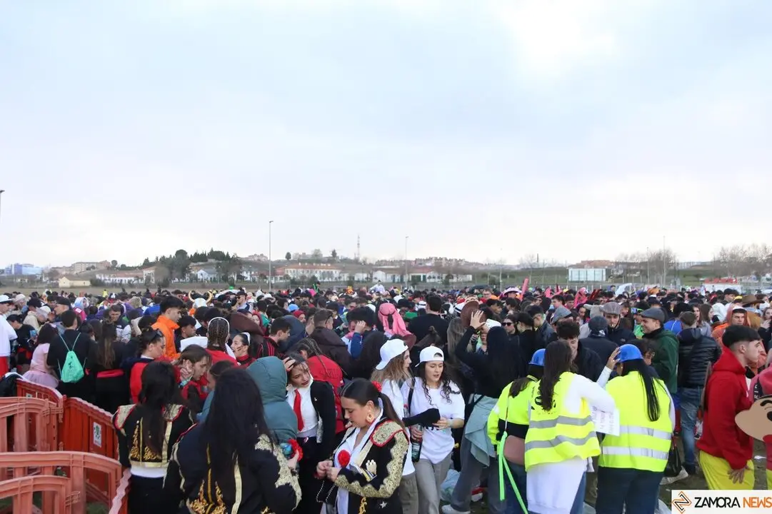 PolitecParty, Zamora