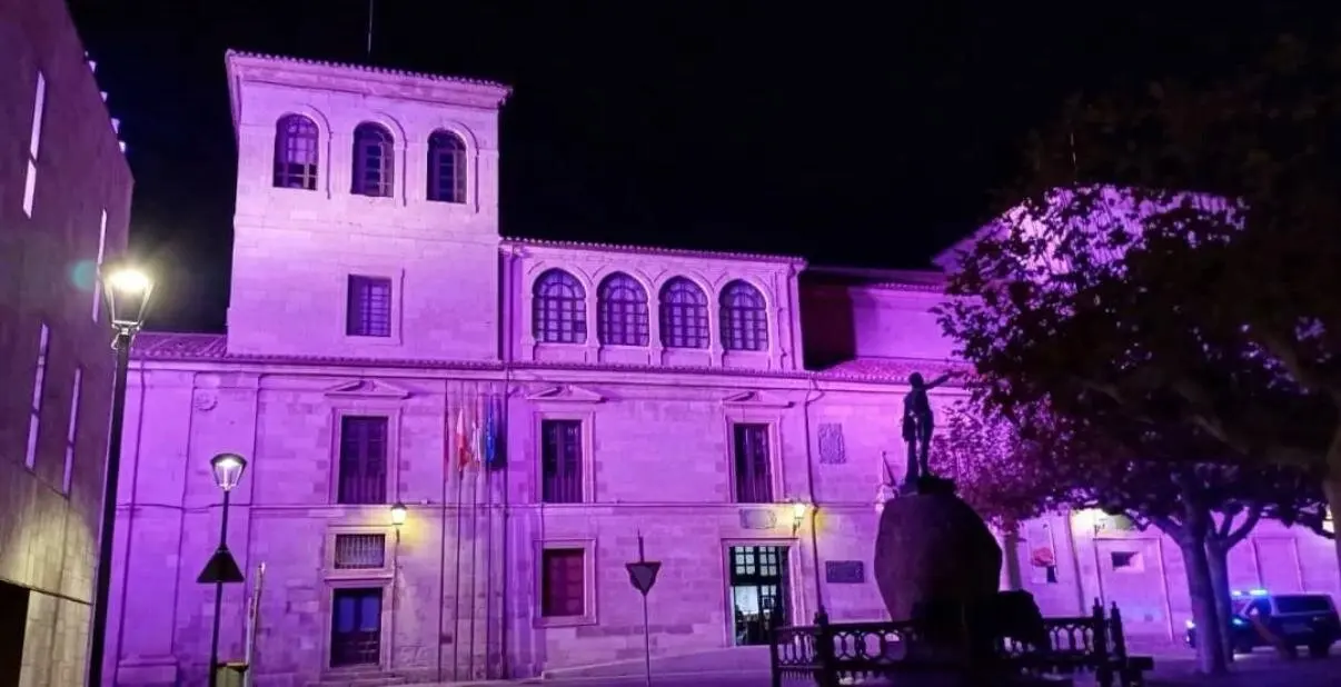 luz morada en el edificio de la Diputación de Zamora
