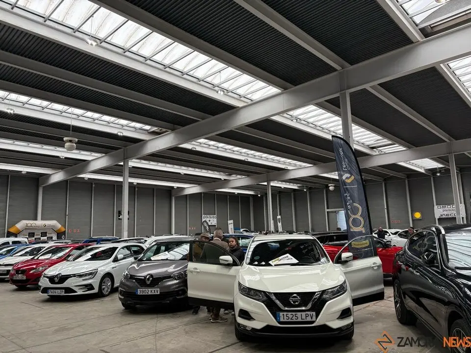 Feria Stock 2025_22