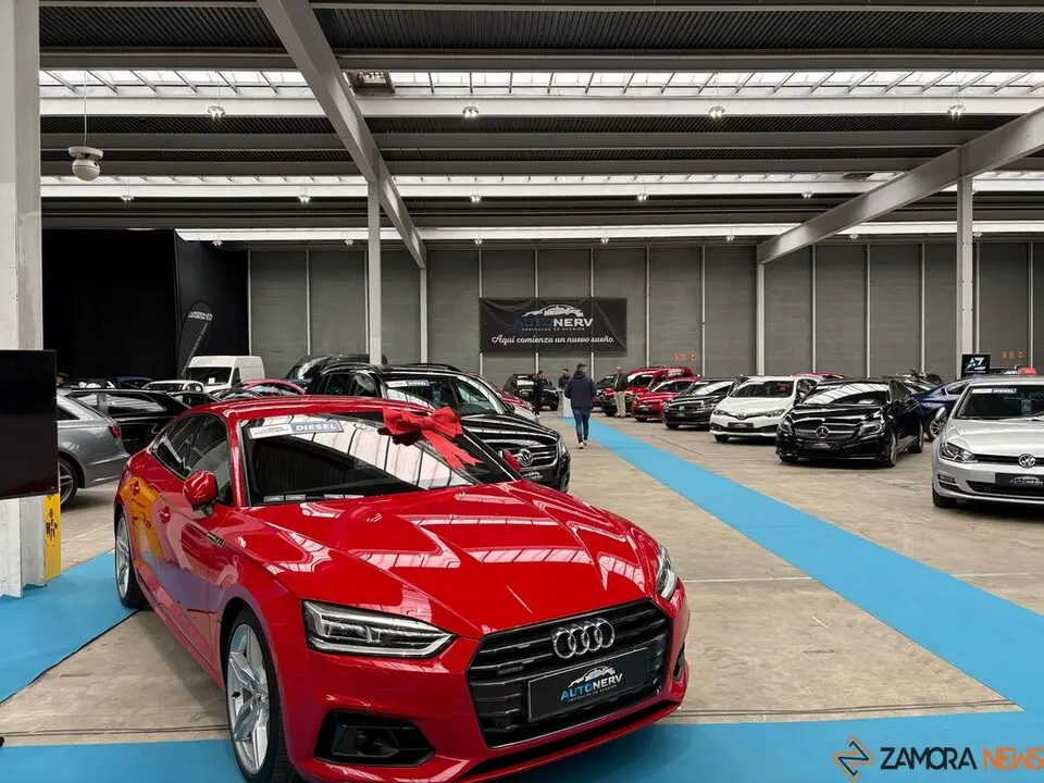 Feria Stock 2025_23