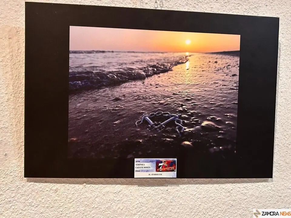 Concurso de Fotografía de la Tercera Caída