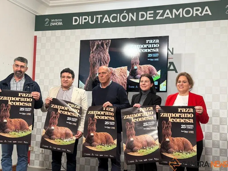 presentación feria del burro San Vitero 