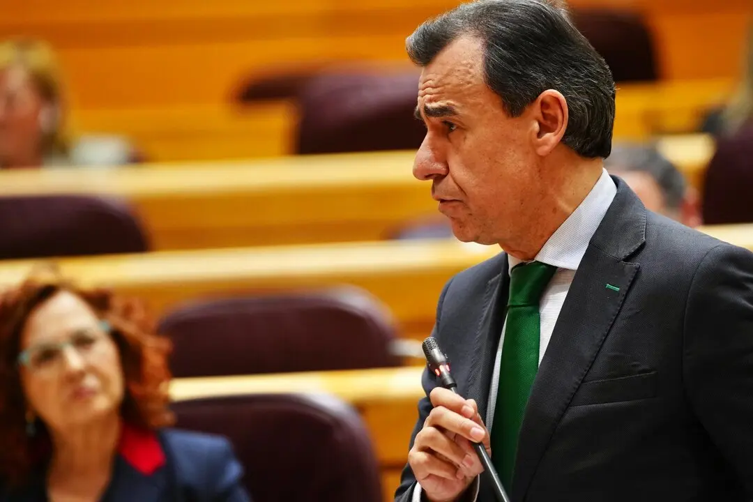Maillo PP Senado