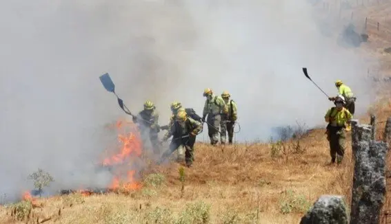 Bomberos Fermoselle